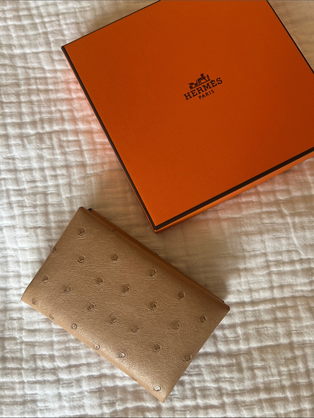Hermes ostrich Calvi